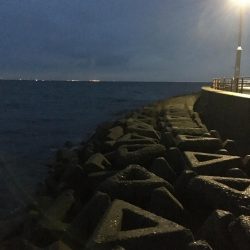 足元でハマチがヒット